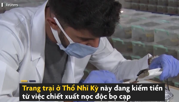 Trang trại nuôi 20.000 con bọ cạp lấy nọc ở Thổ Nhĩ Kỳ