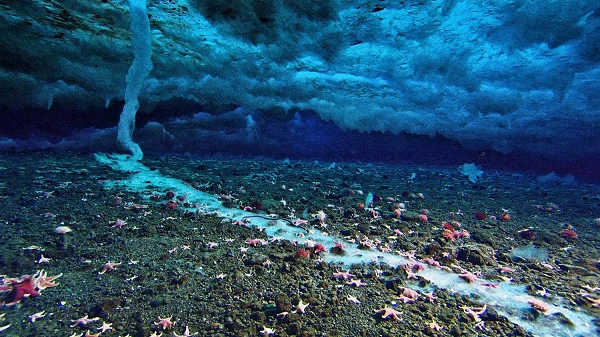 “Ngón tay tử thần” đóng băng mọi thứ dưới biển khi quét qua