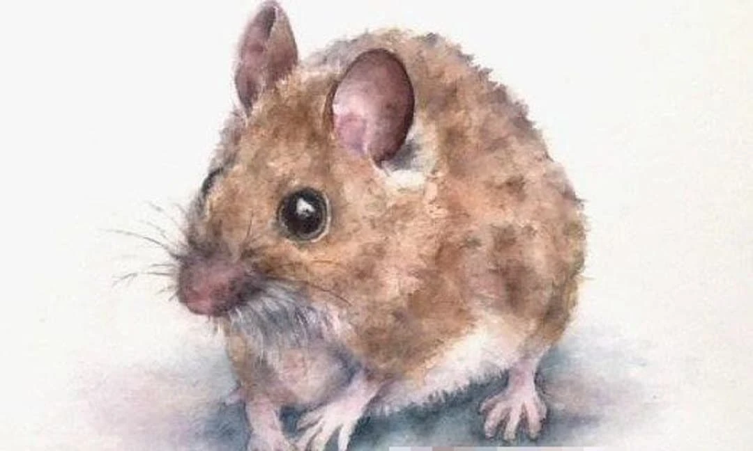 3 con giáp Bồ Tát đặc biệt ưu ái, phát tài cực to 35 ngày tới