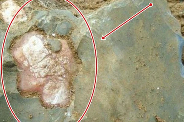 Cuốc nhầm tảng đá, chàng trai vỡ òa phát hiện "báu vật" bên trong