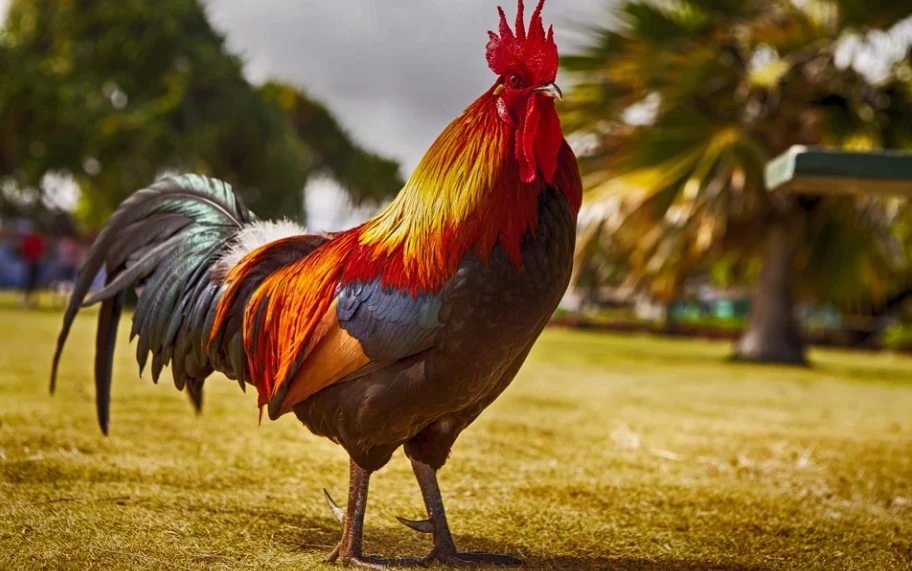 Cuộc sống khởi sắc, 3 con giáp hết khó hết khổ từ giữa tháng 3