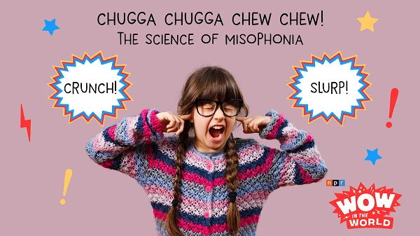 Hội chứng ghét tiếng động phổ biến như nhai nhóp nhép, mút ống hút