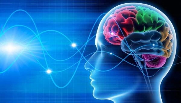 Dùng công nghệ đọc ký ức trong não bắt được kẻ giết người