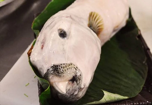 Tò mò cá "mỹ nhân ngư": Vừa xấu vừa độc, nhà giàu Việt cuồng ăn 