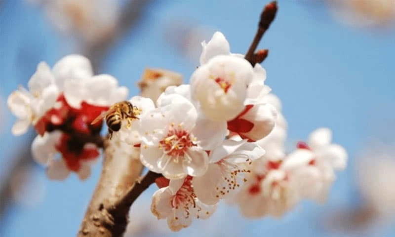 2 tháng tới, sao may mắn chiếu mệnh, 3 con giáp này của cải đầy nhà