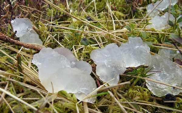 Đi rừng, bất ngờ thấy “thạch trắng” ngoài hành tinh ào xuống Trái đất