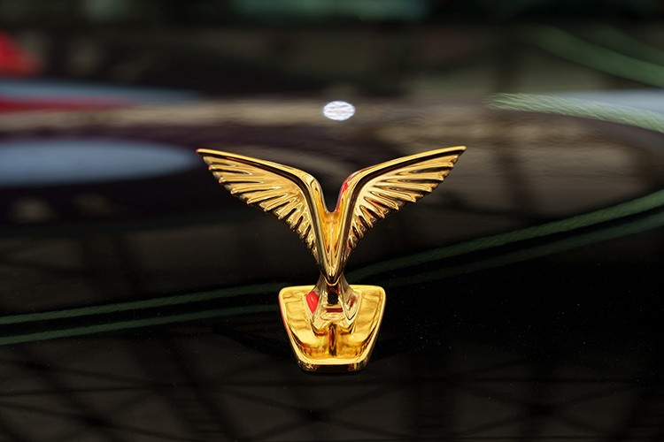 Die Außendetails wurden mit einem vertikalen Kühlergrill im Stil von Bambus und Bronzetrommeln neu gestaltet. Das vergoldete Lac-Vogel-Logo repräsentiert die vietnamesische Kultur. Das Auto verfügt über 21-Zoll-Felgen (19-Zoll-Version mit Panzerglas), Voll-LED-Leuchten, eine Bodenfreiheit von 175 mm und eine Wattiefe von 450 mm. 9-154.jpg
