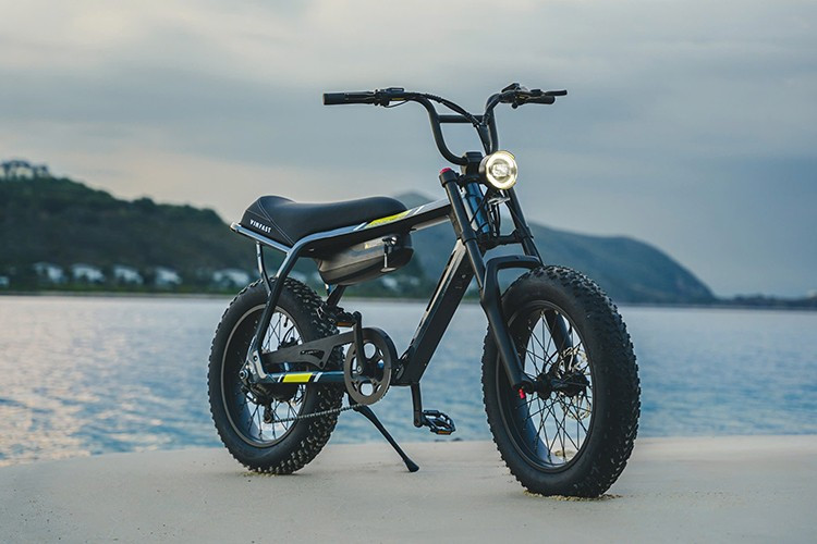 Besides electric motorbikes and pure electric bicycles, electric-assist bicycles will be a worthy alternative to gasoline motorbikes in urban areas. 2-5956.jpg