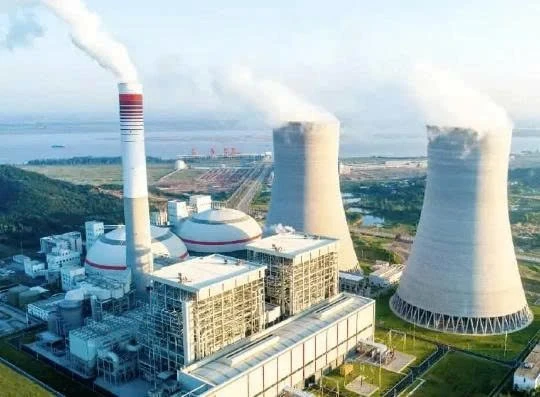 Đấu thầu hóa chất: Trách nhiệm giải trình và bài toán chất lượng sau giá rẻ