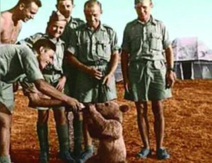 Những sự thật không ai ngờ về CTTG 2