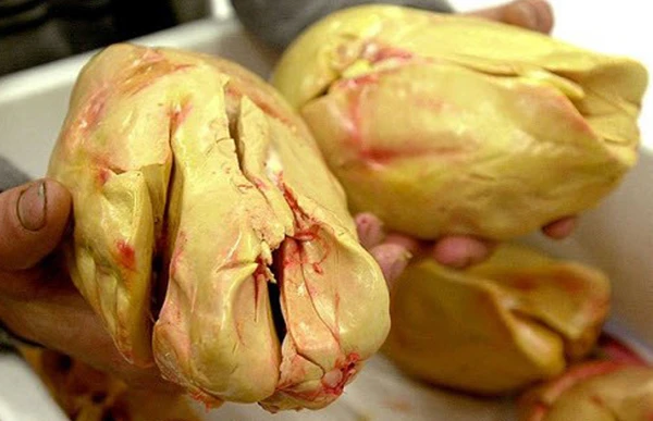 Hãi hùng quy trình vỗ béo ngỗng... ép quá đến gục chết