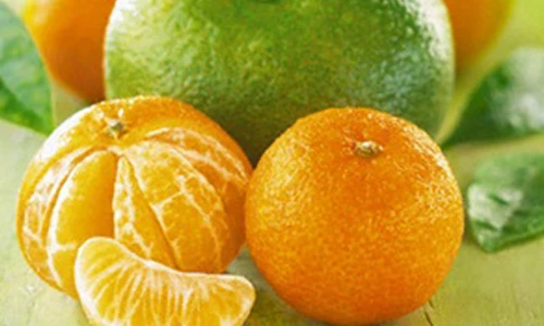 Ăn uống đúng cách cho người thiếu máu não