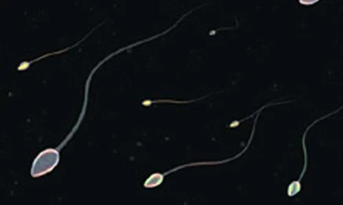 Cố kéo dài thời gian “yêu” nguy hiểm khủng khiếp thế nào?