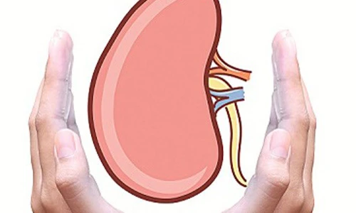 10 cách bảo vệ thận khẩn cấp trước khi quá muộn