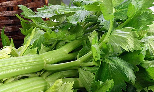 10 thần dược sức khỏe từ các loại cuống và củ