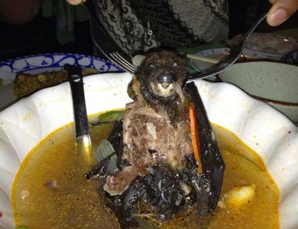 Tận mục món súp dơi đầy lông, sõng soài trong bát