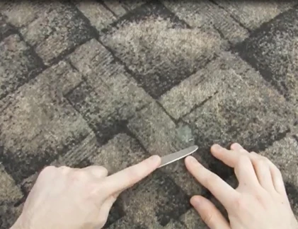 Mẹo làm sạch vảy nến khô bám chặt trên nền thảm