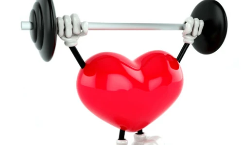 7 tác dụng của hạt bơ khiến bạn bất ngờ