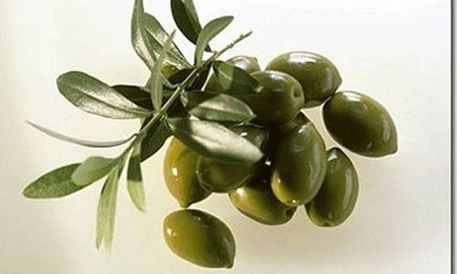 Thực phẩm cực tốt cho người sợ ung thư gan