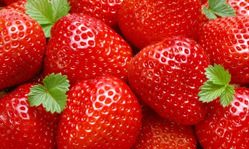 Ăn cá, cà chua… ngừa ung thư vú cực nhạy