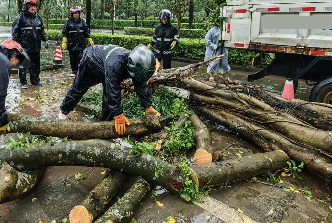 Cảnh ngổn ngang tại Trung Quốc sau bão Matmo