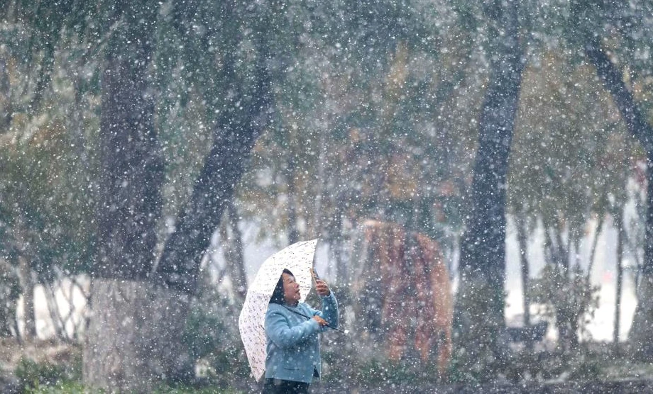 Hình ảnh tuyết rơi trắng xóa ở thành phố Cáp Nhĩ Tân