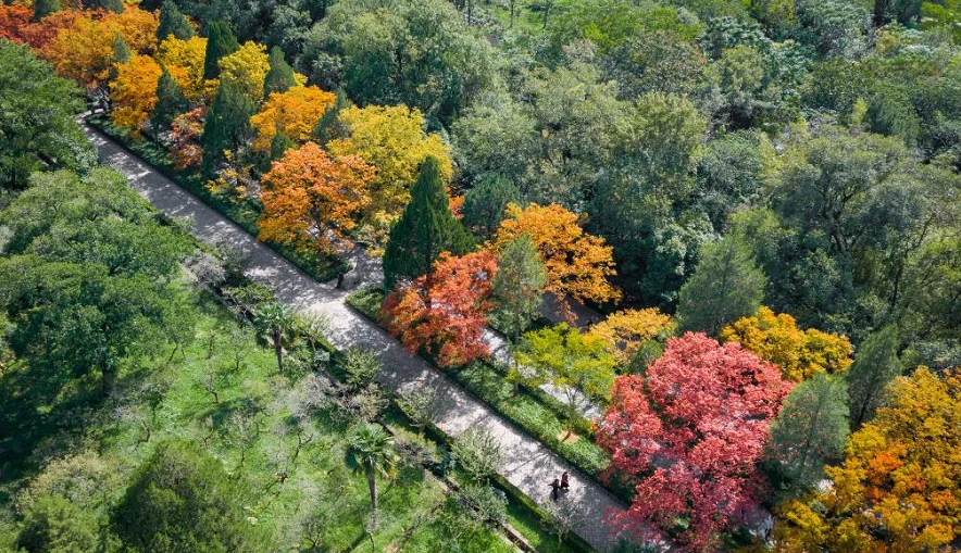 Ấn tượng trước cảnh sắc thiên nhiên ở Trung Quốc