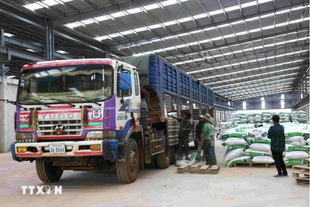 Nhiều doanh nghiệp xuất khẩu lúng túng khi thông tin địa chỉ trên hệ thống đăng ký thực phẩm xuất khẩu sang Trung Quốc không còn khớp. Ảnh minh họa: TTXVN. xuakhautq-1.png