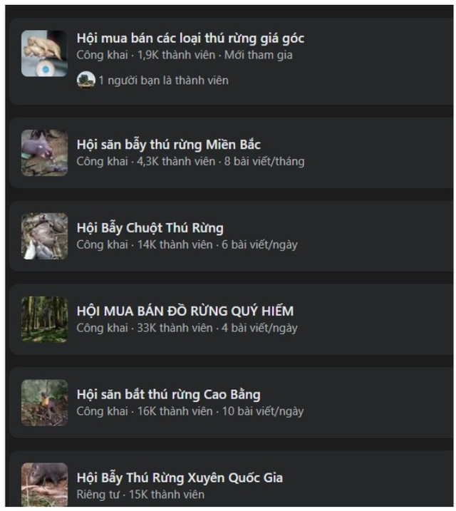 Trên mạng xã hội, chỉ cần gõ từ khóa tìm kiếm, hàng loạt nhóm kín bán động vật hoang dã hiện ra. galoi-2.png