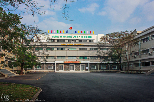 Công ty TH và Công ty TNHH Trường An Sài Gòn từng tham dự và trúng nhiều gói thầu tại Trường ĐH Nông Lâm TP HCM. Ảnh IT. dh-nong-lam-1.jpg