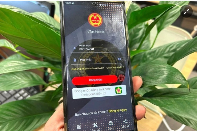 Hộ kinh doanh dùng số định danh cá nhân thay mã số thuế. Ảnh: Nguyễn Lê. hokdanh-1.png