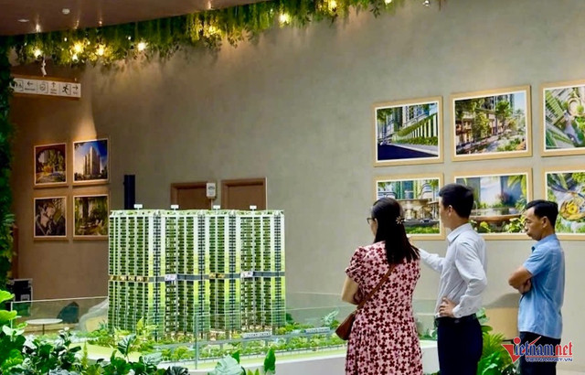 Khách hàng tìm hiểu về một dự án chung cư tại TPHCM. Ảnh: G.H bds-tphcm-1.jpg
