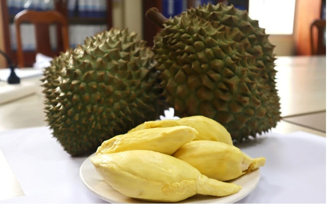 Sầu riêng Monthong do Thaco Agri trồng sẽ lên kệ Emart. Ảnh: Thaco Agri. saurieng-4.png
