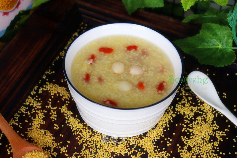 Câu kỳ tử: Bổ dưỡng giúp sáng mắt, mạnh gân cốt, tăng đề kháng 0 Cháo câu kỳ tử giúp bổ khí huyết cho người suy nhược