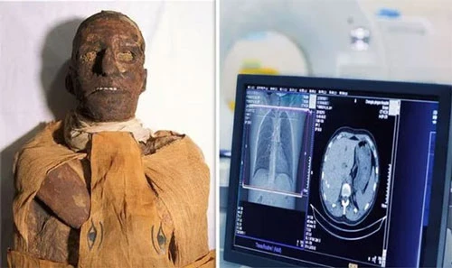 Phát hiện rùng rợn về cái chết của pharaoh Ai Cập