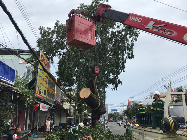 Xe của Công ty CP Môi trường và Dịch vụ Bình Thuận thu dọn những cây bị đổ do mưa và gió lớn. ld1-15.jpg