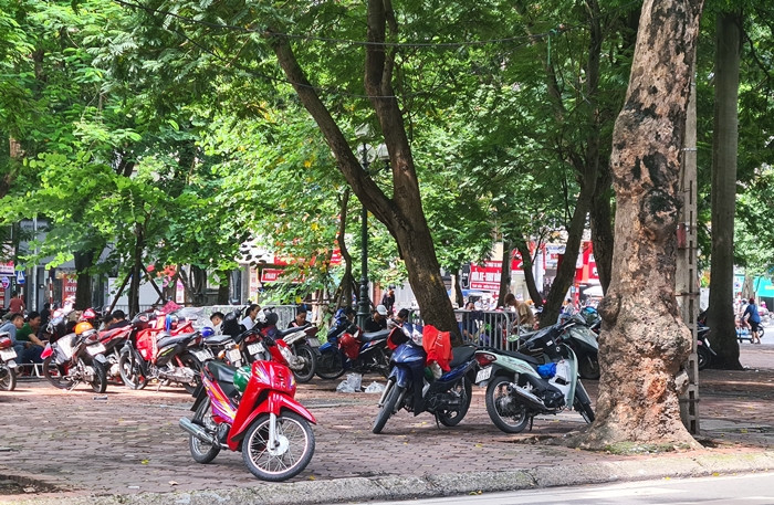 Hà Nội chỉ đạo là vậy, song ghi nhận của PV Kiến Thức chiều ngày 21/8, tại khu vực vườn hoa Hàng Đậu, hướng đường Phan Đình Phùng (phường Quán Thánh, quận Ba Đình, TP Hà Nội), xuất hiện tình trạng nhiều người dân không đeo khẩu trang, vô tư ngồi tụ tập nhau ngồi buôn bán, uống trà đá vỉa hè một cách rôm rả.