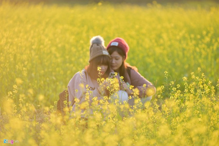 Tuy nhiên cũng có một số vườn cải mọc hoang, không thuộc quyền sở hữu của bất cứ ai và các bạn trẻ có thể thoải mái vào chơi, chụp ảnh. Nhưng dù những vườn cải đó là vô chủ nhưng không đồng nghĩa các bạn trẻ có thể vô tư bẻ, hái, giẫm đạp hoa chỉ để phục vụ mục đích của cá nhân mình. Trên mạng từng có trường hợp nhiều bạn trẻ hoặc cả một nhóm bạn bị truy lùng danh tính chỉ vì những hành động như giẫm đạp hoa cải, hoa cúc sau đó chụp ảnh "tự sướng" rất phản cảm. Ảnh: Việt Hùng/Zing.