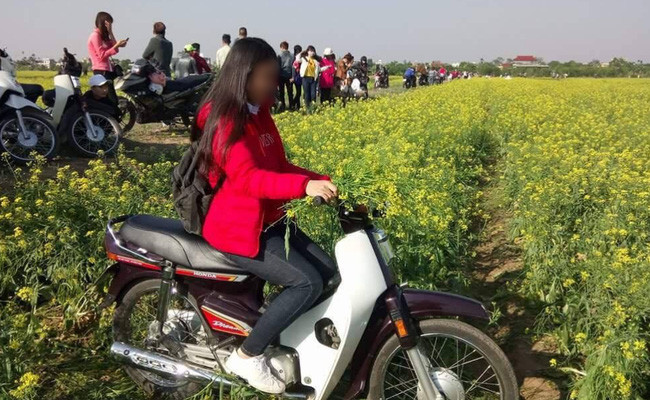 Trong bức ảnh này, cô gái mặc áo đỏ đậu xe giữa vựa hoa cải vàng ươm, tay cầm một bó nhỏ và say sưa chụp ảnh, tự sướng, trong khi vựa hoa chỉ có một lối đi duy nhất ở giữa. Do bánh xe đã làm đổ rạp cả một vạt hoa nên hành động mang xe vào bên trong của cô gái trẻ bị cho là mang tính chất phá hoại, " vùi hoa dập liễu" làm ảnh hưởng đến tài sản của những người dân trồng hoa. Chưa rõ thực hư câu chuyện và nhân vật chính tuy chưa lộ mặt nhưng đã trở thành nhân vật gây nhiều thị phi nhất vài ngày qua, bị vô số cư dân mạng chỉ trích, chửi bới. Ảnh: Beat.