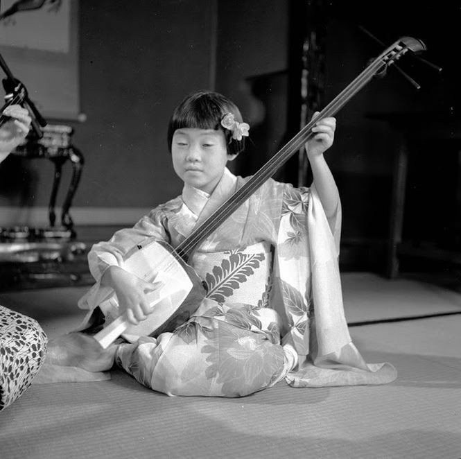 Một geisha tập sự nhí đang tập đánh đàn samisen. Ảnh: Evans / Three Lions.