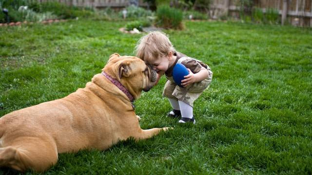 Những người quý mến, muốn bảo vệ những chú chó dù biết hành động và tiếng nói của mình rất bé nhỏ, không thể thay đổi cả một thói quen lớn, nhưng vẫn cố gắng giúp cho những người xung quanh hiểu "Chó là bạn, không phải thức ăn".