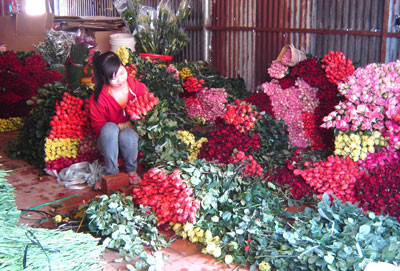 Ở các vùng nông thôn, địa phương càng cách xa thành phố thì việc tổ chức Valentine của các cặp đôi càng giản dị hơn. Tuy nhiên, việc tặng hoa cho người yêu trong ngày lễ tình nhân vẫn là không thể thiếu, nên các quầy hoa đơn giản cũng đua nhau mọc lên, phục vụ nhu cầu của lớp trẻ.