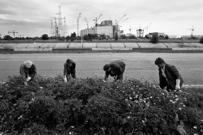 Bức ảnh này được chụp trước khi thảm họa Chernobyl xảy ra và nó không chỉ cho thấy hình ảnh mọi người đang cẩn thận chăm sóc những đóa hoa mà còn cho thấy hình ảnh về một cuộc sống yên bình ở thành phố Pripyat.