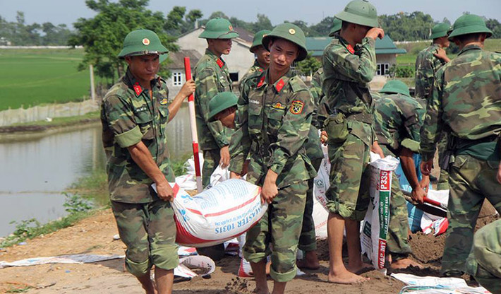 Cát được đóng vào bao tải đắp đê tả Bùi.