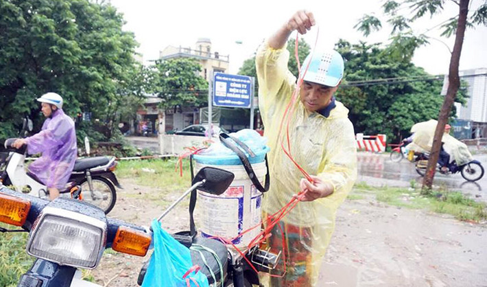 Nhanh tay buộc thùng cá để về nhà.