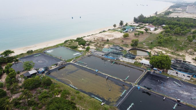 Liên quan đến sự việc, ông Lê Xuân Thắng, Phó chủ tịch UBND xã Cam Hải Đông, cho biết đã cử đoàn kiểm tra hiện trạng các hộ nuôi tôm. "Khi chúng tôi kiểm tra không phát hiện có hiện tượng xả thải nên không thể lập biên bản xử phạt hành chính. Ngoài ra, đây là đất thuộc dự án đã được cấp phép, họ cũng đền bù, giải tỏa rồi nên xã không thể quản lý", ông Thắng nói. (Ảnh: Người lao động).