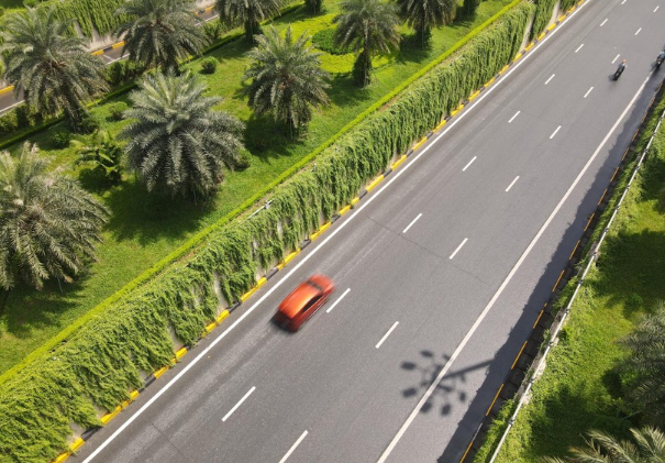 Tại khu vực này, cây xanh được trồng xen kẽ, tầng lớp bao phủ lấy nhau tạo nên một màu xanh mát mắt. (Ảnh: GD&TĐ).