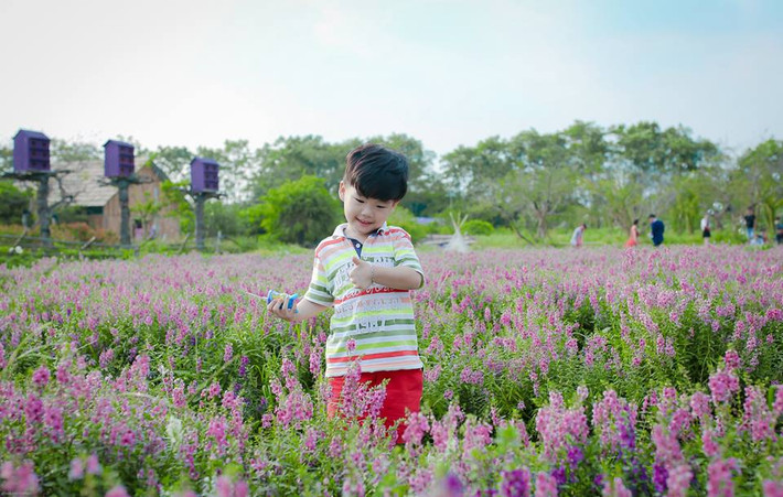 Em nhỏ thích thú khi được ngắm nhìn vườn hoa nhiều màu sắc. Ảnh: Bục Nguyễn.
