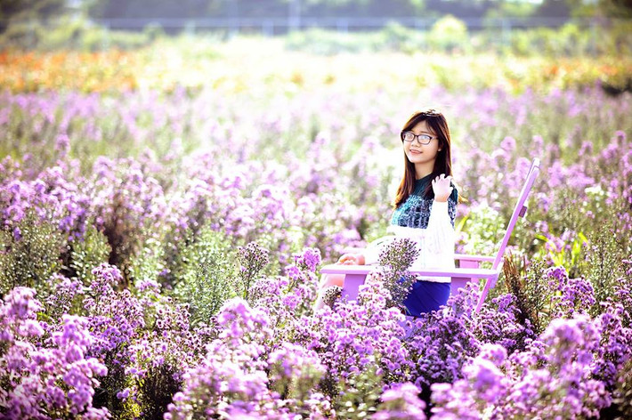 Thảo nguyên hoa nằm ở phố Thạch Cầu, Long Biên trải dài tít tắp trên diện tích rộng 6ha trở thành điểm đến yêu thích của nhiều gia đình và bạn trẻ ở Hà Nội trong thời gian gần đây. Ảnh: Nguyễn Phương Trang.