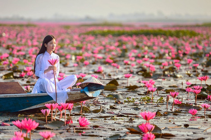 Nhiều người mê mẩn với những bức ảnh chụp tại đầm hoa súng (Ảnh: Saravutpics).